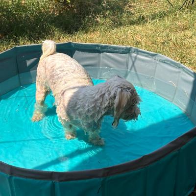 Whatsapp Bild 2024 08 25 Um 16.18.41 27c9b27b