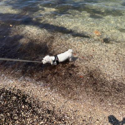 Whatsapp Bild 2024 08 25 Um 16.18.44 20d1bd6e