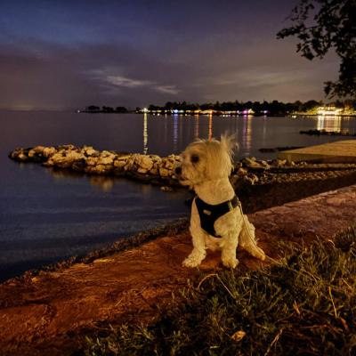 Whatsapp Bild 2024 08 25 Um 16.18.47 8c646208