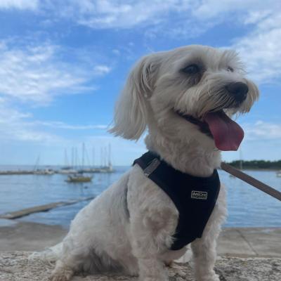 Whatsapp Bild 2024 08 25 Um 16.18.47 E73a2ff0