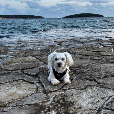 Whatsapp Bild 2025 09 11 Um 23.42.11 A7b27bdf