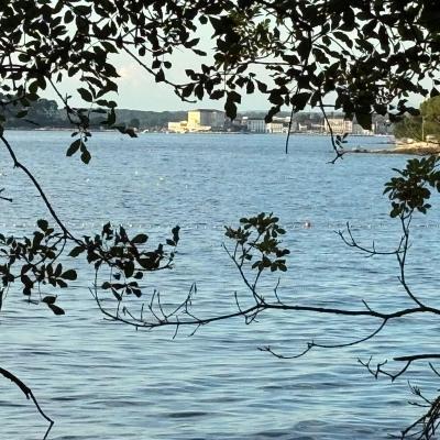 Whatsapp Bild 2025 09 11 Um 23.42.17 5fb32451