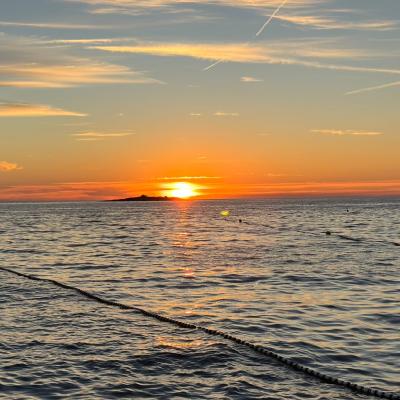 Whatsapp Bild 2025 09 11 Um 23.42.20 197ff4b8