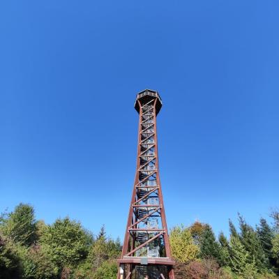  Gulyi Zqg62dbwnljddvq