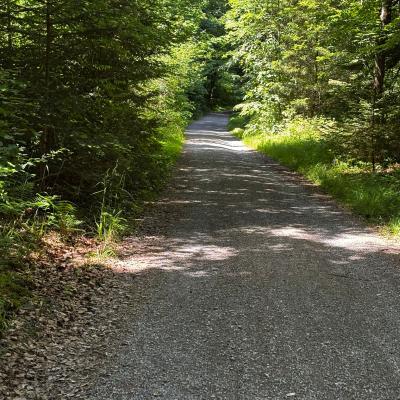 Whatsapp Bild 2025 06 03 Um 21.31.20 42322ca1