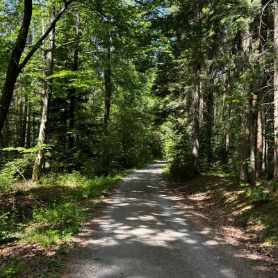 Whatsapp Bild 2025 06 03 Um 21.31.20 Fab6beac