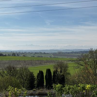 2025 04 19 10 06 29 653