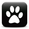 Captcha image 9341